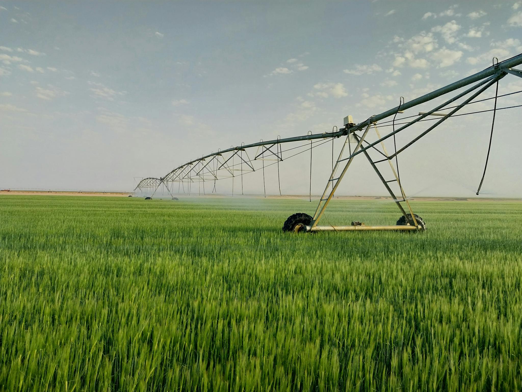 A pivot irrigation system waters lush green crops in an expansive rural field.